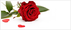 Valentines Day - Icono Chat en directo #7 - desconectado - English