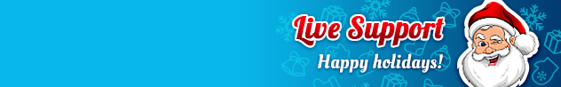  Online live chat window header #5 for winter - English