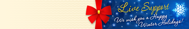 
				Online live chat window header #1 for winter - English