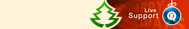 
				Online live chat window header #2 for winter - English