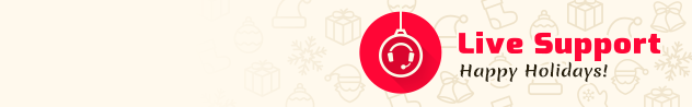 
				Online live chat window header #4 for winter - English