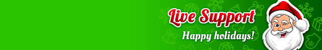 
				Online live chat window header #6 for winter - English