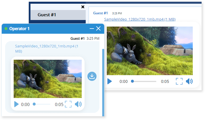 Audio and video files can be played right from the chat Video file preview in the live chat window